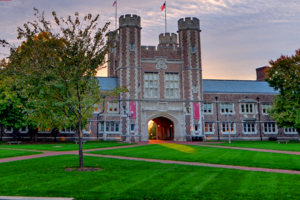 How Curiosity Can Lead You to A Degree at the WashU School of Continuing & Professional Studies